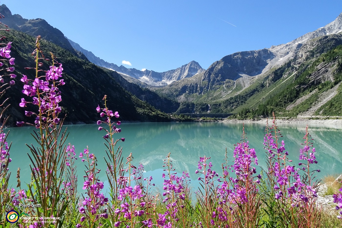 17 Lago d'Avio (1900 m) con vista in Cima Plem (3180 m).JPG